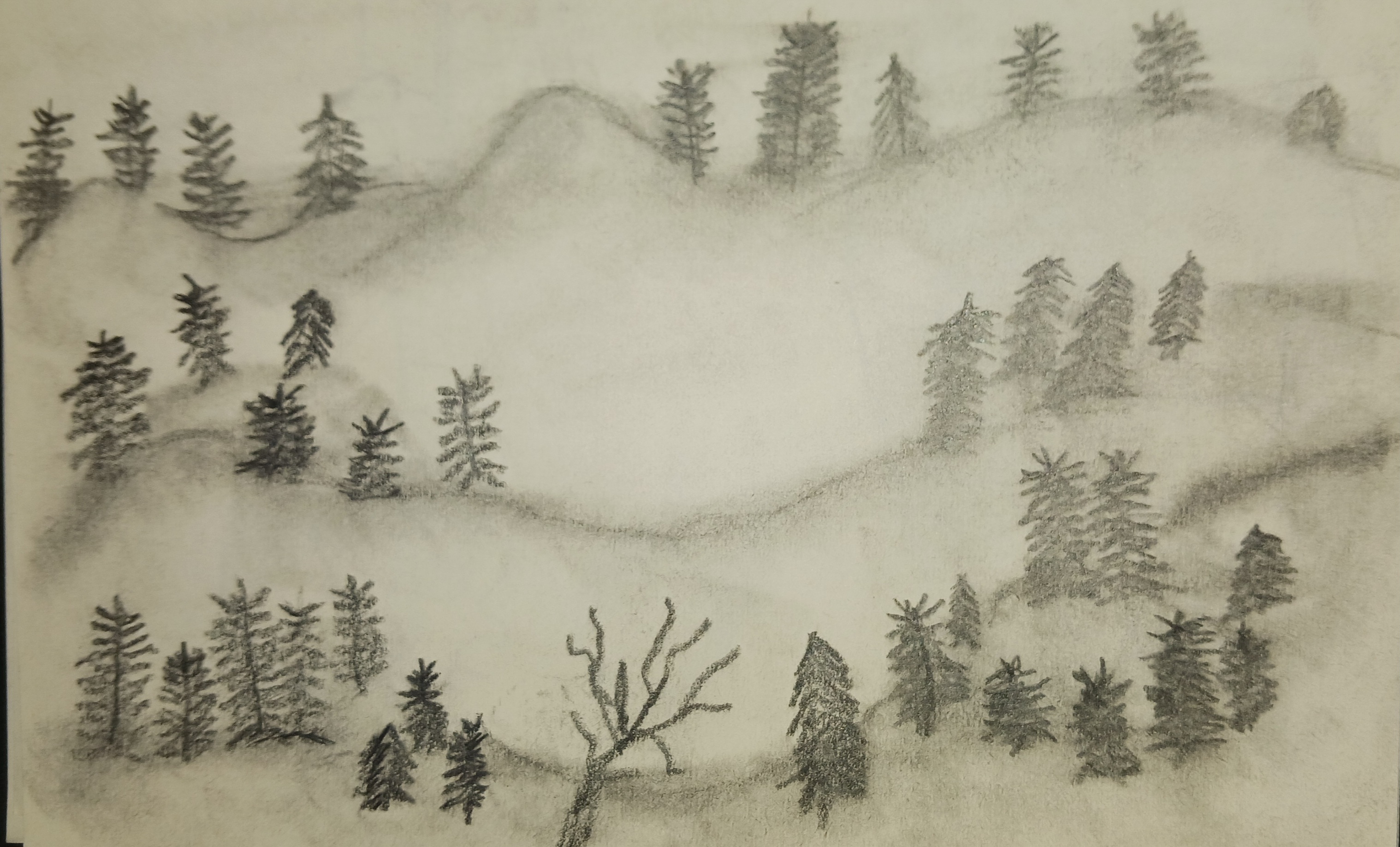A new sketch