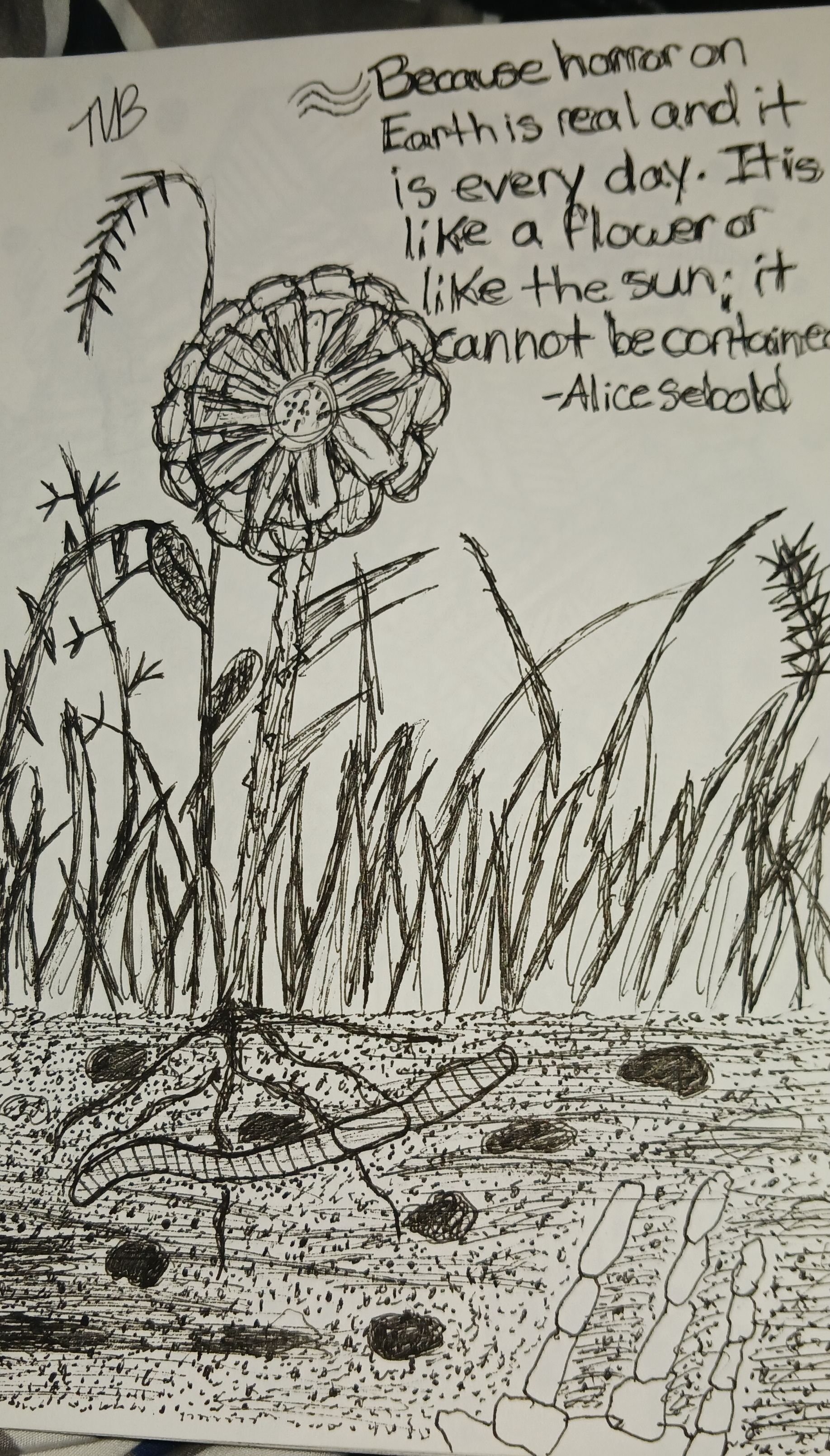 Description of sketch