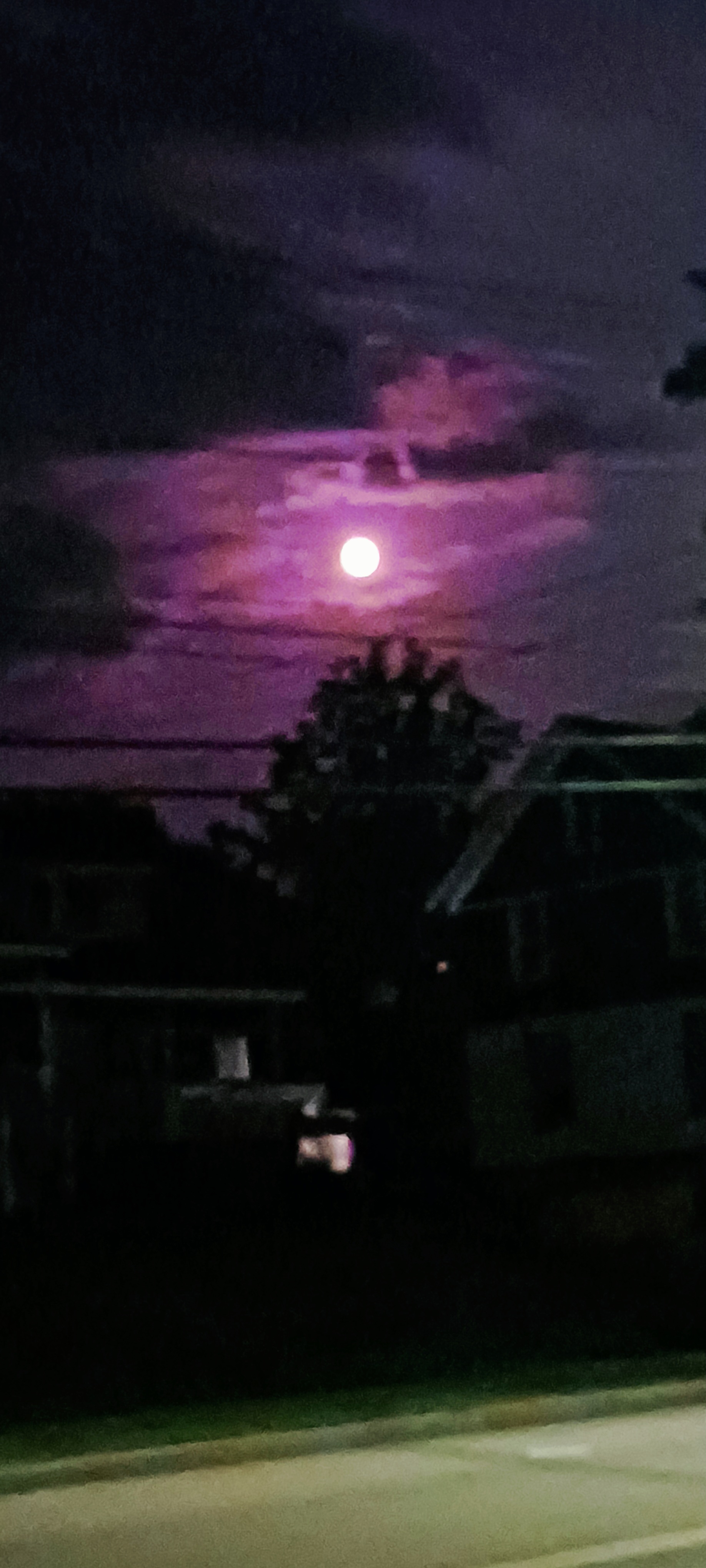 The strawberry moon glowing in the night sky.